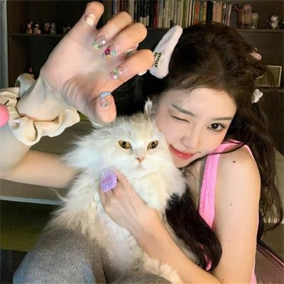 忍者神龟第五季