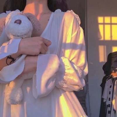 功夫兔与菜包狗第一季